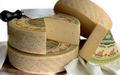 Сыр Мантова (типа Монтазио ДОП), выд. 60 дн., коровий, 47% /6 кг.